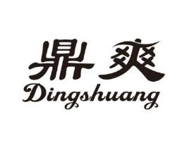 鼎爽商标原图 第10类医疗器械
