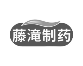 藤滝制药商标原图 第10类医疗器械