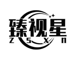 臻视星 ZSXN商标原图 第10类医疗器械