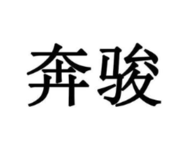 奔骏商标原图 第10类医疗器械