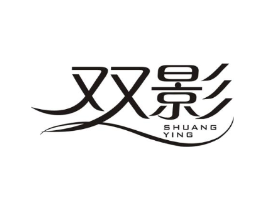 双影商标原图 第10类医疗器械