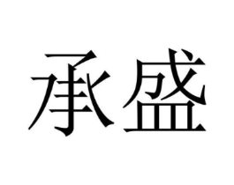 承盛商标原图 第10类医疗器械