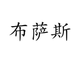 布萨斯商标原图 第10类医疗器械