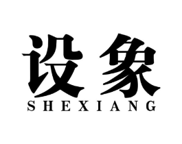 设象商标原图 第10类医疗器械