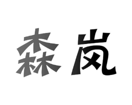 森岚商标原图 第10类医疗器械