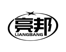 亮邦商标原图 第10类医疗器械