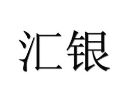 汇银商标原图 第10类医疗器械