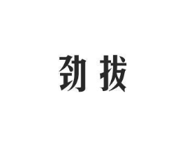 劲拔商标原图 第10类医疗器械