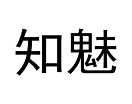 知魅商标原图 第10类医疗器械