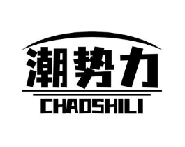 潮势力商标原图 第10类医疗器械