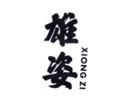 雄姿商标原图 第10类医疗器械