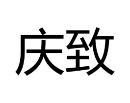 庆致商标原图 第10类医疗器械
