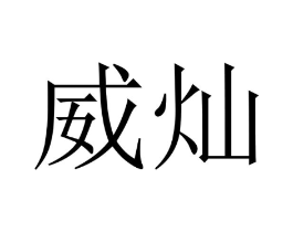威灿商标原图 第10类医疗器械