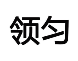 领匀商标原图 第10类医疗器械