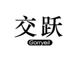 交跃 GORRYEIL商标原图 第10类医疗器械