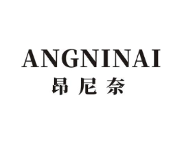 昂尼奈商标原图 第10类医疗器械