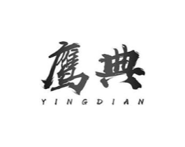 鹰典商标原图 第10类医疗器械