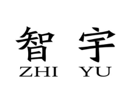 智宇商标原图 第10类医疗器械