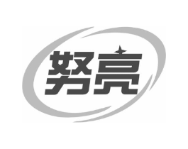 努亮商标原图 第10类医疗器械