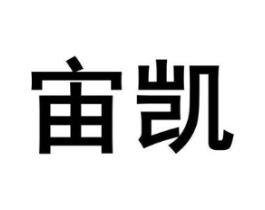宙凯商标原图 第10类医疗器械