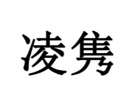 凌隽商标原图 第10类医疗器械