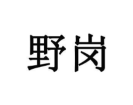 野岗商标原图 第10类医疗器械