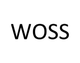 WOSS商标原图 第10类医疗器械
