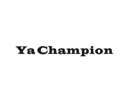 YA CHAMPION商标原图 第10类医疗器械