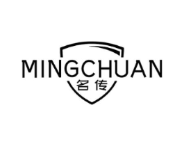 名传商标原图 第10类医疗器械