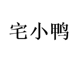 宅小鸭商标原图 第10类医疗器械