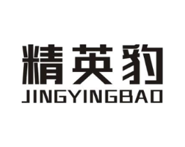 精英豹商标原图 第10类医疗器械