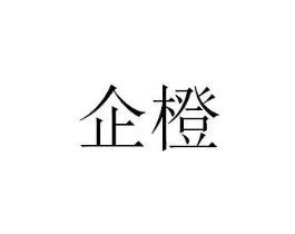 企橙商标原图 第10类医疗器械