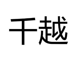 千越商标原图 第10类医疗器械
