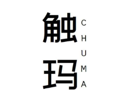 触玛商标原图 第10类医疗器械