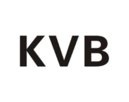 KVB商标原图 第10类医疗器械