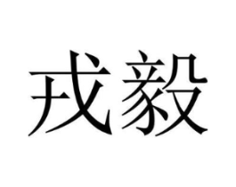 戎毅商标原图 第10类医疗器械