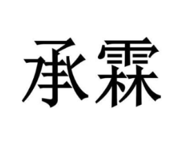 承霖商标原图 第10类医疗器械