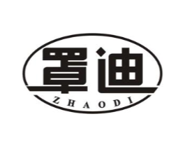 罩迪商标原图 第10类医疗器械