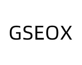 GSEOX商标原图 第10类医疗器械