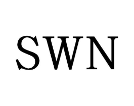 SWN商标原图 第10类医疗器械