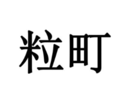 粒町商标原图 第10类医疗器械