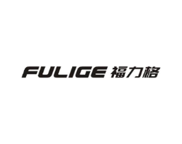 福力格商标原图 第10类医疗器械