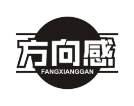 方向感商标原图 第10类医疗器械