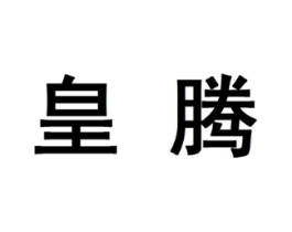 皇腾商标原图 第10类医疗器械