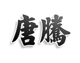 唐腾商标原图 第10类医疗器械