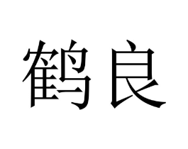 鹤良商标原图 第10类医疗器械