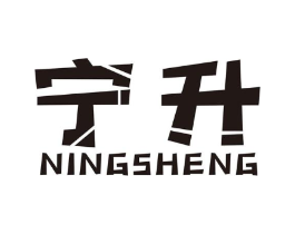 宁升商标原图 第10类医疗器械