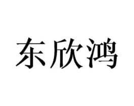 东欣鸿商标原图 第10类医疗器械