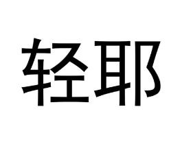 轻耶商标原图 第10类医疗器械