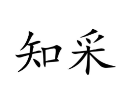知采商标原图 第10类医疗器械